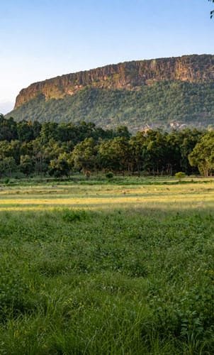 Chakradhara Meadow Bandhavgarh