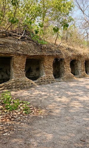 Three Cave Point Bandhavgarh National Park